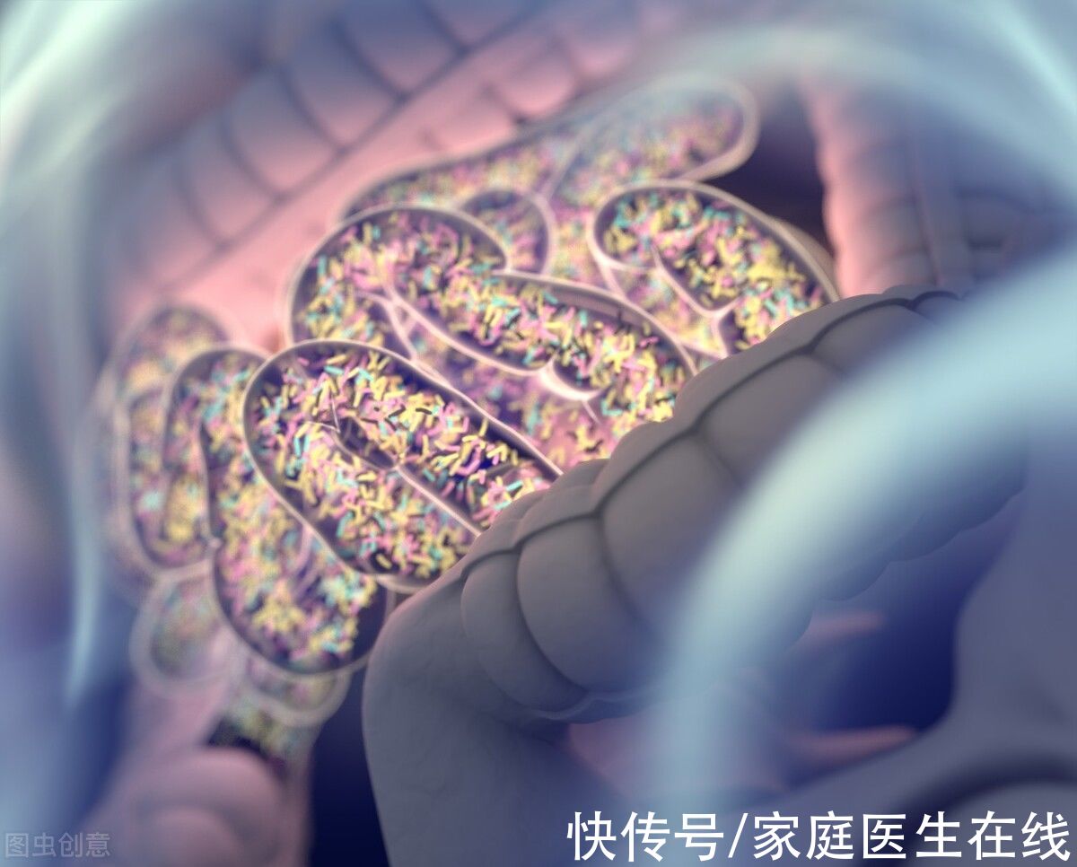 服用|吃药不见效？研究：可能是肠道菌落在作怪，这些食物也要警惕