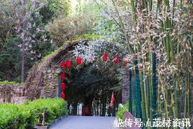 沕沕水|太行山脉有一处婉约江南的秘境，此地泉水潺潺，悬空瀑布经年不歇