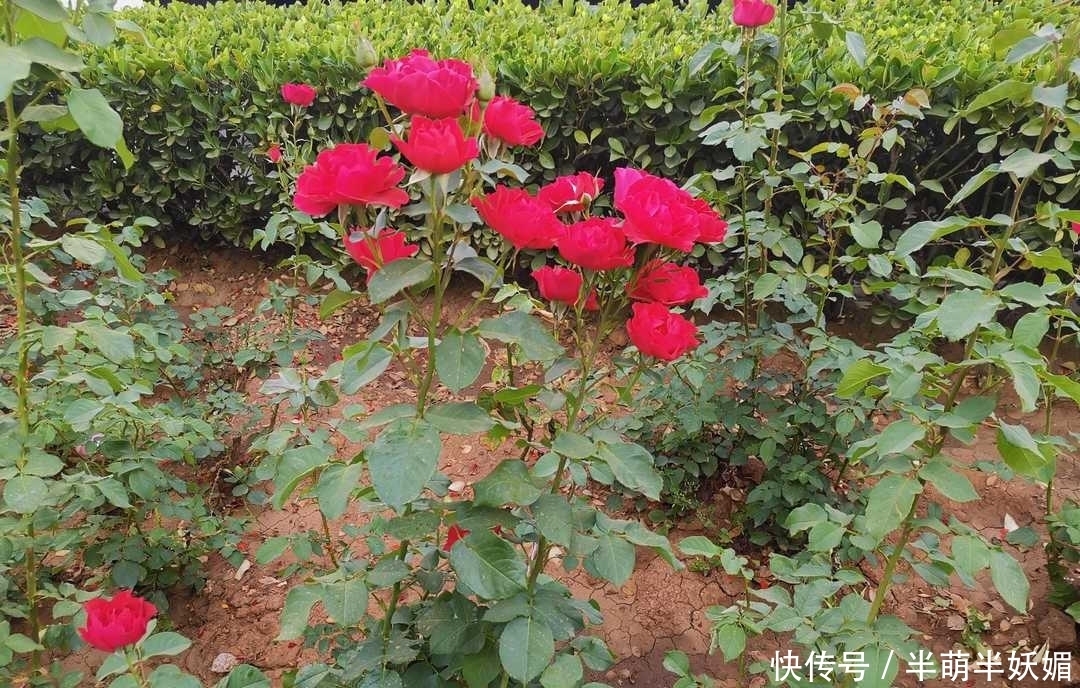 人大|曾国藩:勤俭培养廉洁风骨,正直使人大度,俭朴为立家之本