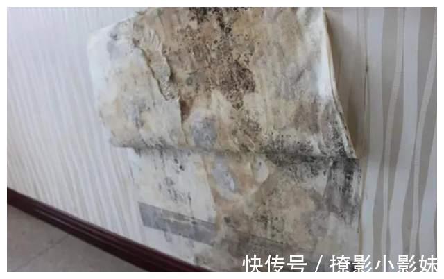 层板|新房装修要注意，这些装修细节没做好，钱花了还不实用