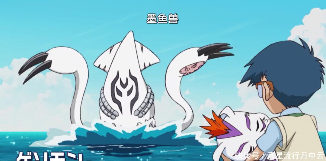 数码兽|新数码宝贝可爱的哥玛兽登场,阿丈拒绝帮助太一!