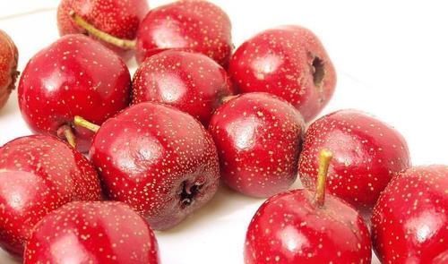 山药|冬天常吃的6种滋补食物,常吃的人,身体都不会太差!你吃了吗?