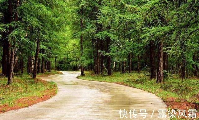 雄浑#北宋诗人王令一首《大松》,松树形象大气磅礴,青春之志令人赞扬