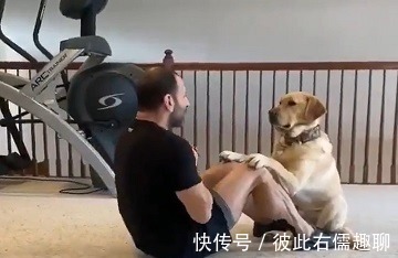 做俯卧撑|健身的最佳拍档，你绝对想不到！