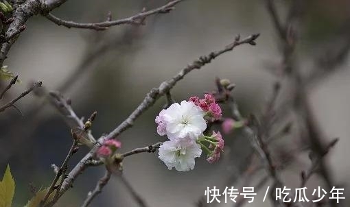 许一世|下个月，鸳鸯成双，破冰和好，告别单身，意笃情深，许一世长情