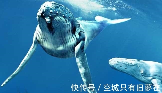 购车&十个冷知识:尽可能不要全款去购车!