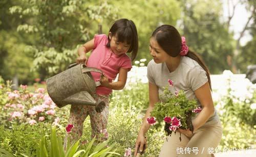 发财树|绿萝、发财树也能养死?我敢说你肯定不会浇水