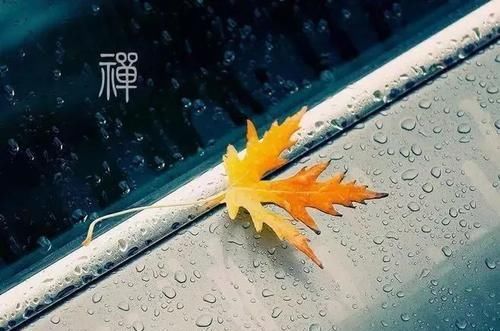  记住|多数人艾灸，其实是在泄自己元气？关于艾灸，你必须记住这5问！