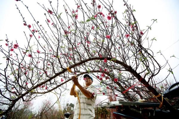 中年|这个年夜饭吃粽子的国家,居然还有人属猫?