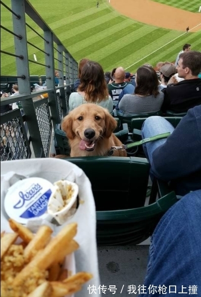 |搞笑GIF趣图:妹子,你这是打扰男朋友玩游戏的结果吧!