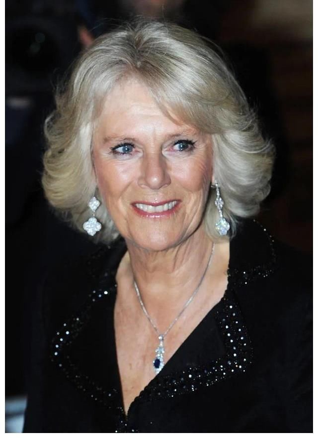 钻石#曾被骂地表最强卡三,如今一身珠光宝气,她赢得了爱情和珠宝