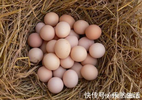 冰箱|放冰箱后的鸡蛋不好吃教你简单一招，天天都能吃到鲜鸡蛋！