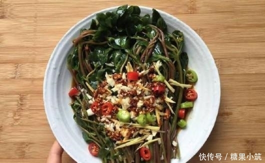  马齿苋|农村这种野菜，被誉为“长寿菜”，城里人想吃都买不到！