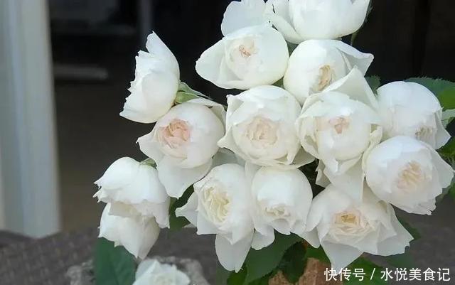 22种最漂亮的月季,一次能开300天,满屋飘香开花多