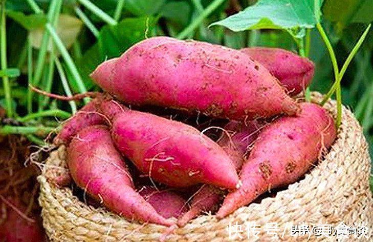 维生素e|建议中老年人,为了健康别舍不得花钱,常吃这6种食物,对身体好