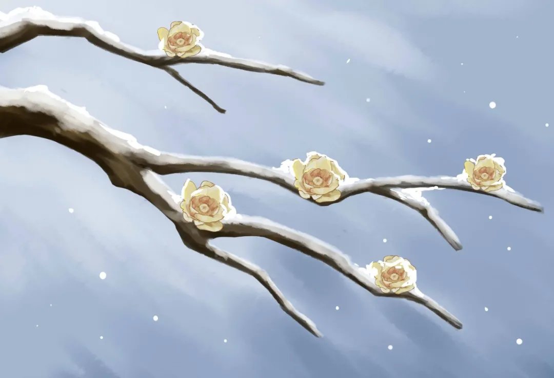 无思&小寒诗词 | 小寒虽寒，牵挂却能带来温暖