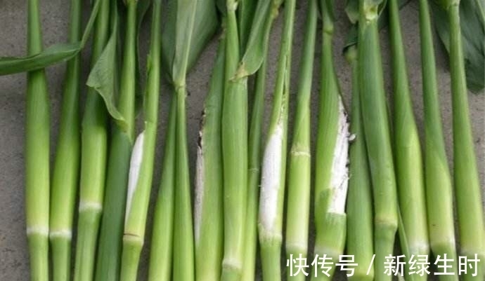 碳水化合物|女性不想被同龄人比下去,此物可多吃,淡化皱纹,肌肤也细腻