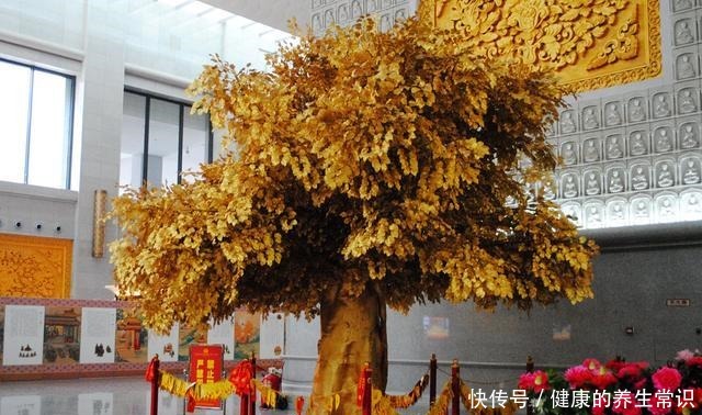 武则天|为什么耗资巨大的新法门寺，游客不喜欢去，更喜欢逛老法门寺呢！