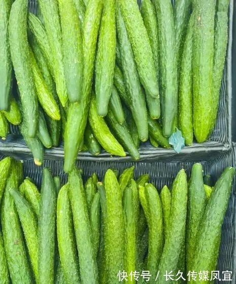 西红柿|黄瓜尽量不要与这三种食物搭配，西红柿在内，不妨来了解下