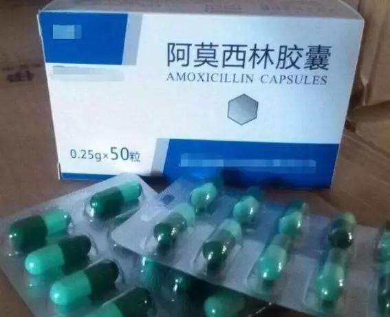 急性贫血|无论养什么花,养好根是基础,用“2种药”倒盆里,根系变更壮!