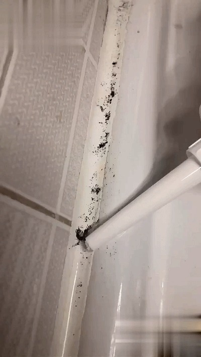 止回阀|再没钱装修,5个“家居要处”也不能省,入住后连父母都觉得超值