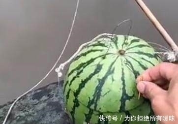 聪明|农村女孩太聪明,将吃完的西瓜皮投入水中,十分钟后获得新美食