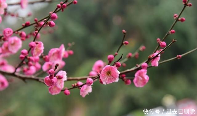 临事|临事须替别人想,论人先将自己想