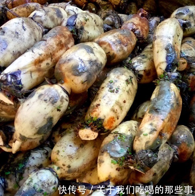 买莲藕，七孔九孔莲藕哪个好？挖藕工：口感差很多，选错了不好吃