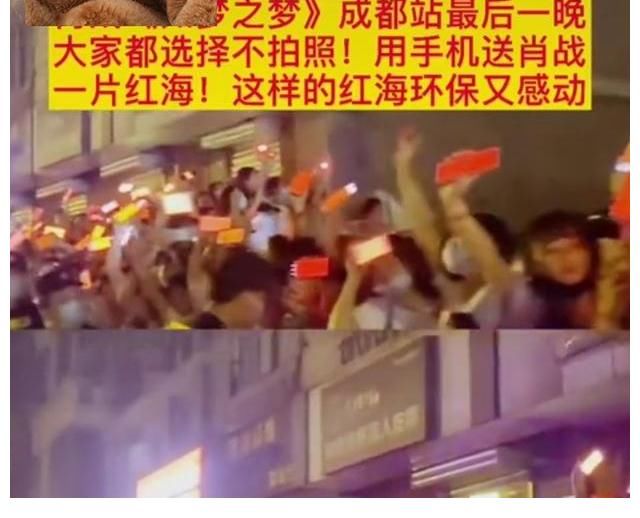 肖战|肖战粉丝被路人称赞，环保“红海”万众瞩目，假粉却出来搞事情