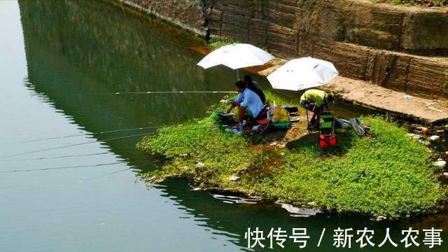 江苏一大爷钓鱼上瘾,严寒中从凌晨守到下午,老伴的做法令人感动