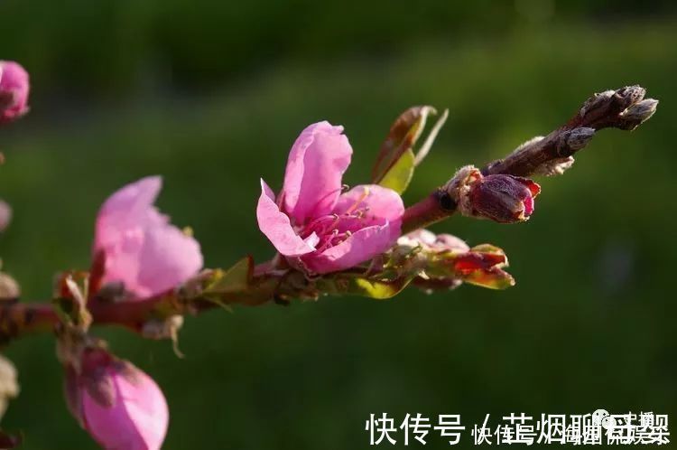 女人|晚年必暴富的四大生肖，未来10年，一年比一年有钱！