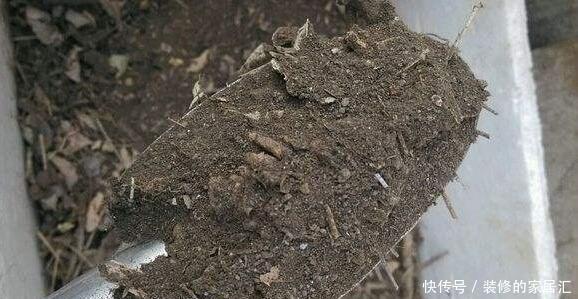 配土|养花不知道怎么配土?用这五种废料就够了