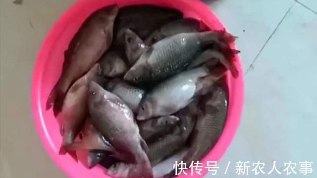 广东一男子钓鱼瘾犯了,寒冷的冬日里夜钓,一不小心就实现了爆护