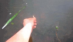 |搞笑GIF: 这样的新娘要不得 客人刚新娘就原形毕露了