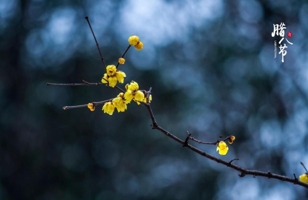 腊八节|十首腊八的诗词,品味诗书中的腊八节!