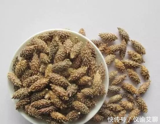 鞋底|为什么清朝最后一个太监孙耀廷说“晚上伺候贵妃时鞋底必须藏苍耳