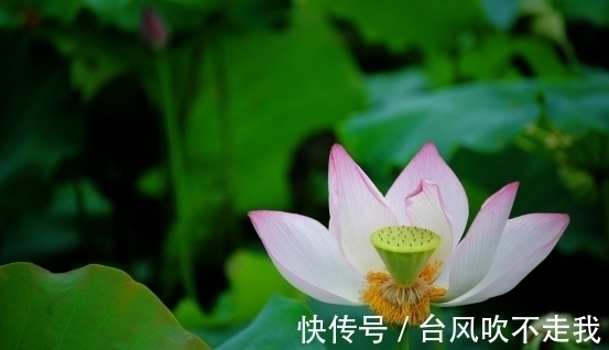 天蝎|7天后,分分合合,不再忍耐,忘记前任,展望未来,迎接崭新人生