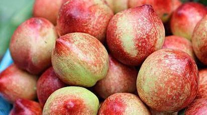 女性|养生女性常吃以下食物,排毒燃脂,安神助眠,缓延衰老,营养丰富