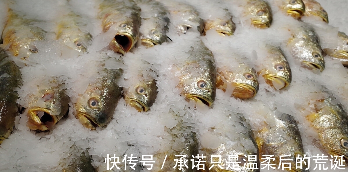 无论解冻什么鱼，不要用清水泡，教你1个技巧，快速解冻还新鲜