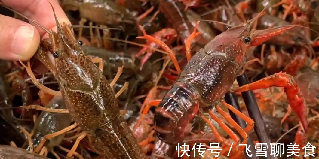 垃圾|小龙虾别直接用清水洗,相当于吃垃圾,教你小技巧,垃圾自动跑光