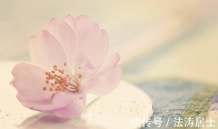 在职场|1月运走“财旺之乡”,财源广进,日子越过越红火的生肖