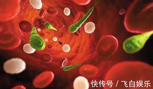 降血脂|高血脂除了吃药,这6种食物要多吃,帮助降血脂,身体更健康