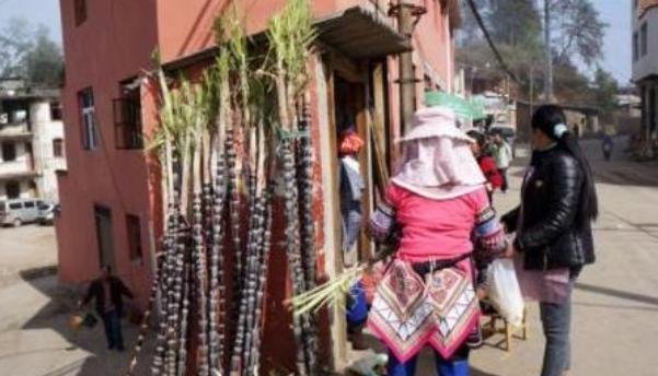 吃甘蔗|南方大妈另类卖甘蔗,原价5元,简单加工后,就卖20元的“天价”