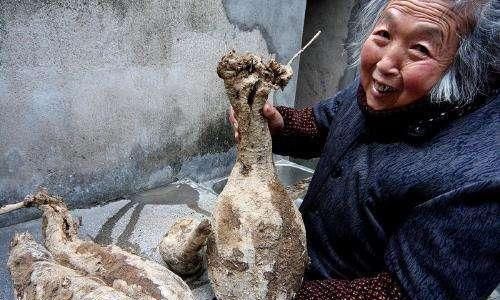 卵巢囊肿|女人不想妇科病来扰，三种食物轮着吃，帮你保养卵巢，预防妇科病