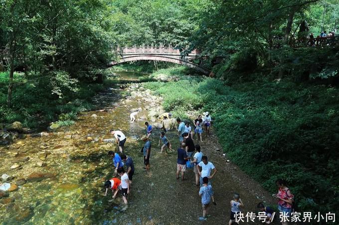 去看悬浮山（张家界高品国际旅行社）