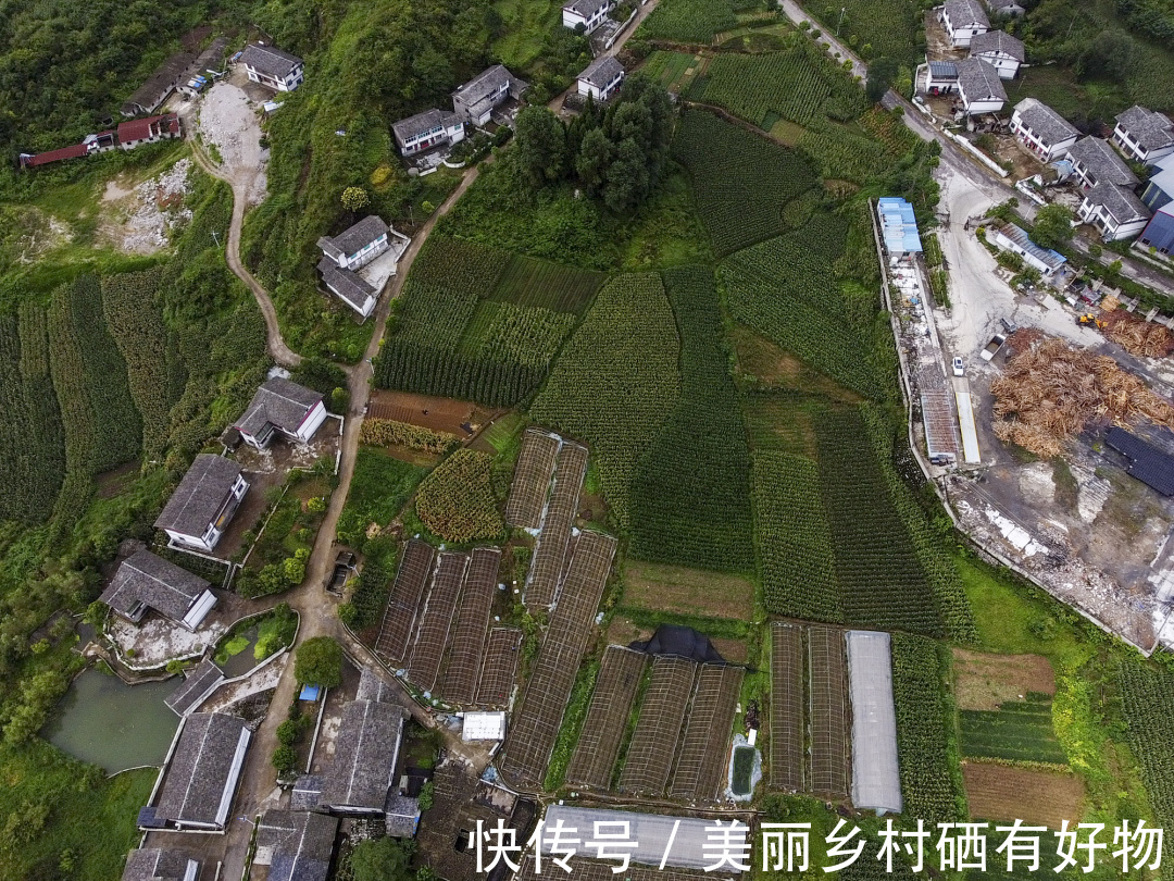 开阳县硒源灵芝富硒茶--开阳电子商务公共