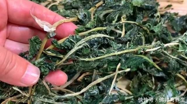 很多人只吃果肉,其实叶子才是宝贝,如今正当季,不懂吃可惜了