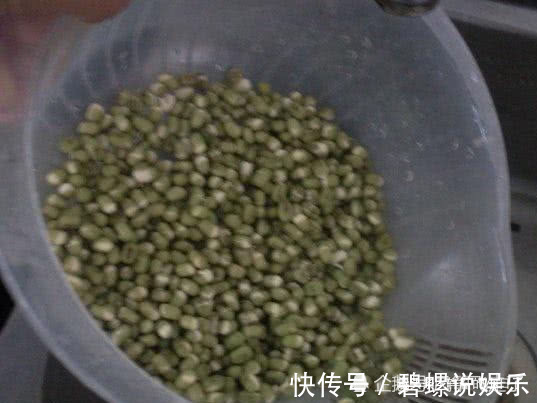 出芽率|终于找到发绿豆芽出芽率高的方法了，4天就能吃，口感脆嫩又健康