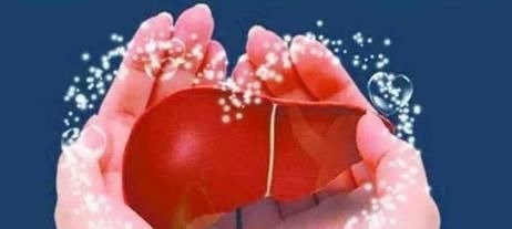 肝病|“养肝不吃药”?常吃5种食物,肝脏一天比一天好,肝病不来打扰