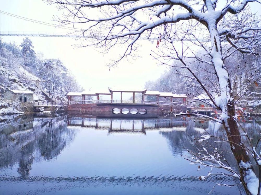 银装素裹|下雪了，银装素裹下的湖北绝美大片